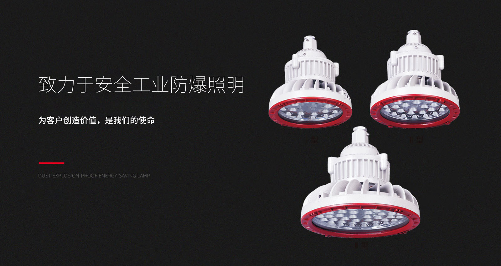 浙江惟丰防爆电气有限公司